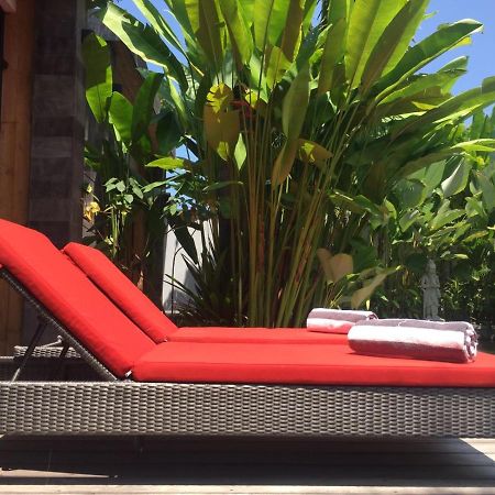 Hotel Le Chien Rouge Lovina Zewnętrze zdjęcie