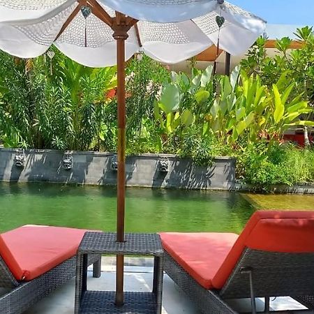 Hotel Le Chien Rouge Lovina Zewnętrze zdjęcie